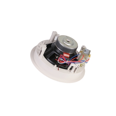 Потолочный громкоговоритель DSP-804