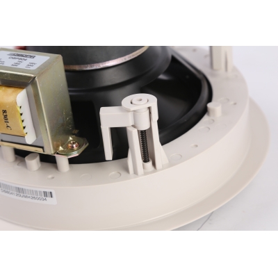 Потолочный громкоговоритель DSP-804
