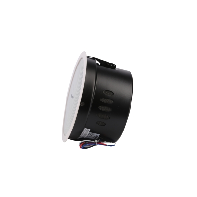 Потолочный громкоговоритель DSP-902