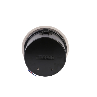 Потолочный громкоговоритель DSP-902