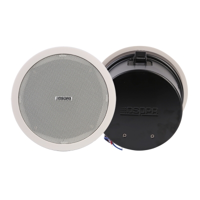 Потолочный громкоговоритель DSP-902