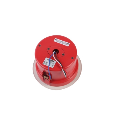 Потолочный громкоговоритель DSP-903