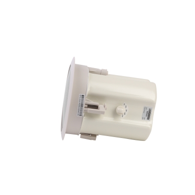 Потолочный громкоговоритель DSP-915