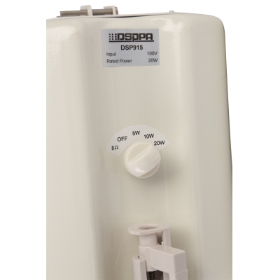 Потолочный громкоговоритель DSP-915