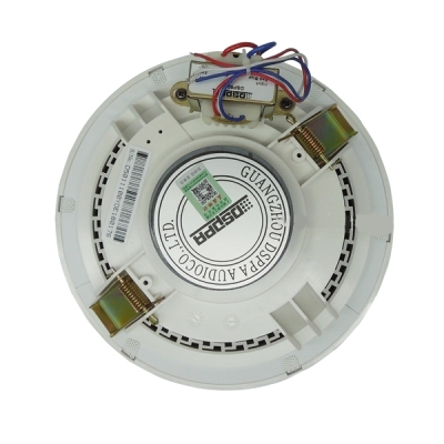 Потолочный громкоговоритель DSP-5011