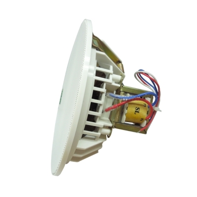 Потолочный громкоговоритель DSP-5011