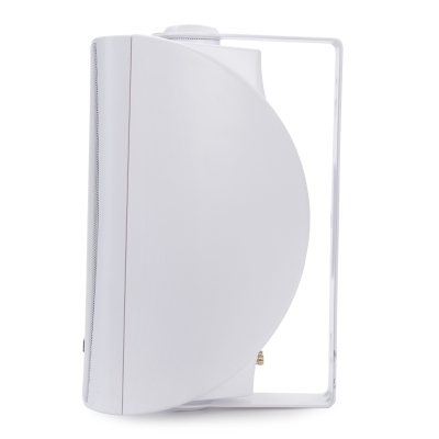 Настенный громкоговоритель DSP-6061W