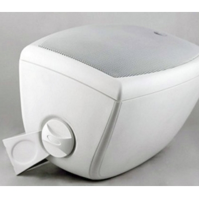 Громкоговоритель настенный двухполосный ODF508TW