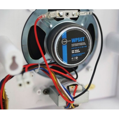 Громкоговоритель настенный широкополосный WPS6T