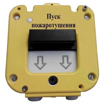 Устройство дистанционного пуска