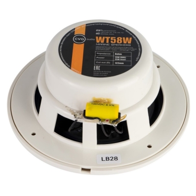 Громкоговоритель потолочный двухполосный влагозащищенный WT58W