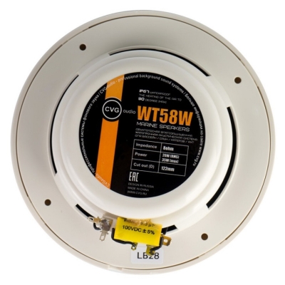 Громкоговоритель потолочный двухполосный влагозащищенный WT58W