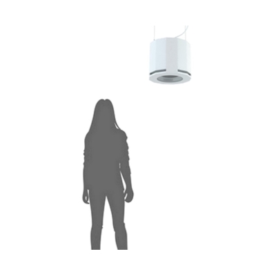 Подвесной пассивный сабвуфер с кроссовером SUBone model D-6/W/CR