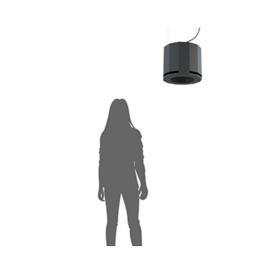 Подвесной пассивный сабвуфер SUBone model DH-8/BL