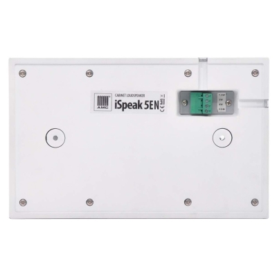 Громкоговоритель настенный ISPEAK 5EN
