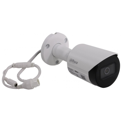 Уличная цилиндрическая IP-камера DH-IPC-HFW2431SP-S-0280B