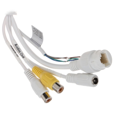 Уличная купольная IP-камера DH-IPC-HDBW5541RP-ASE-0360B