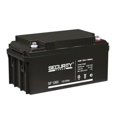 Security Force SF 1265 