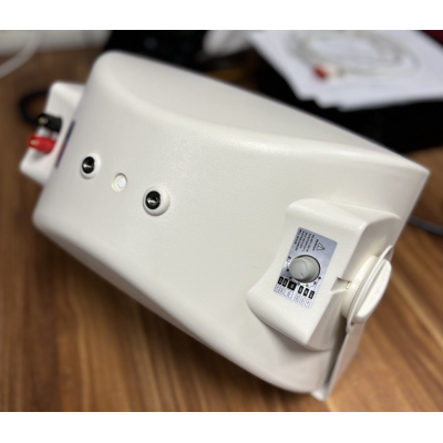 Громкоговоритель настенный двухполосный SWS-540W