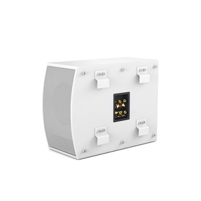 Пассивный трансляционный сабвуфер с кроссовером SUBone model C-6/W/CR/T