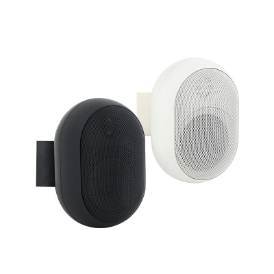 Настенный широкополосный громкоговоритель ELLIPSE-315TW