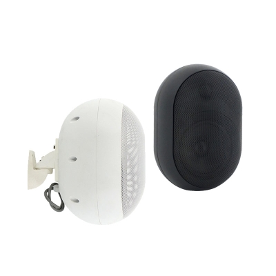 Настенный двухполосный громкоговоритель ELLIPSE-530TW