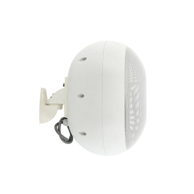 ELLIPSE-530TW Настенный двухполосный громкоговоритель