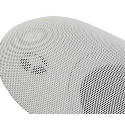 Настенный двухполосный громкоговоритель ELLIPSE-530TW