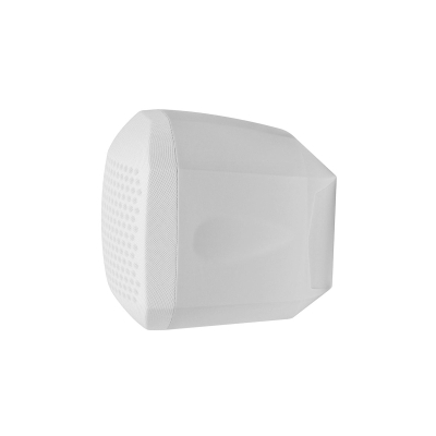 Миниатюрный двухполосный громкоговоритель CUBE-420W