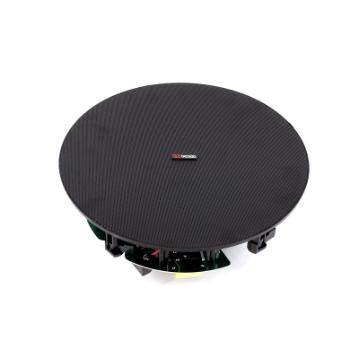 Двухполосный громкоговоритель для подвесных потолков