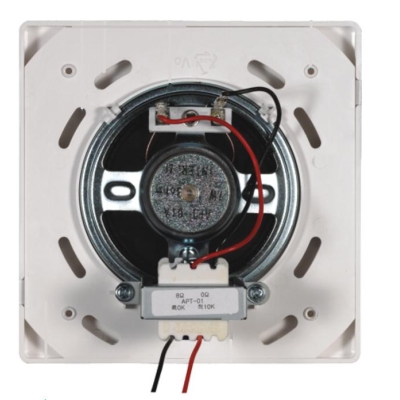 Потолочный громкоговоритель APT-01W