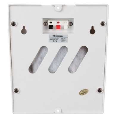 Настенный громкоговоритель WSE-10T